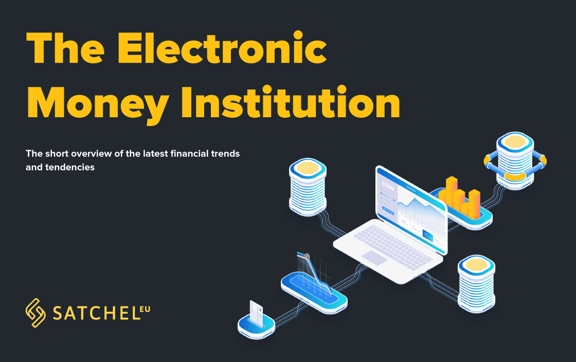 The Electronic Money Institution