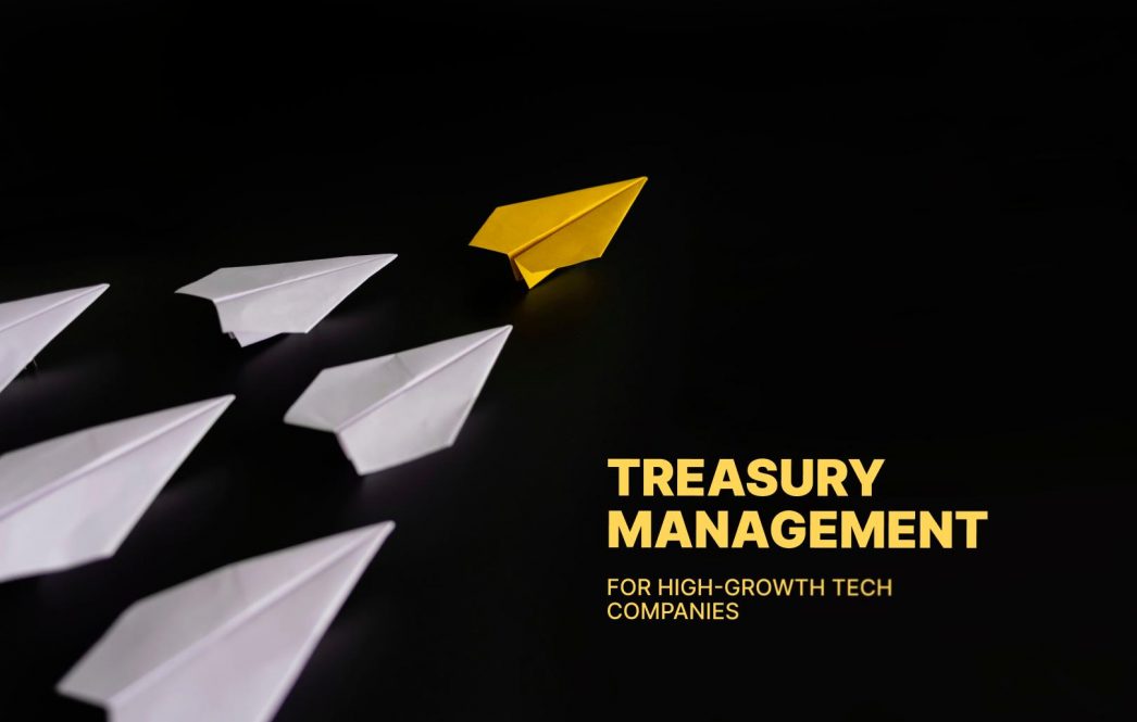 Treasury management for high-growth tech companies