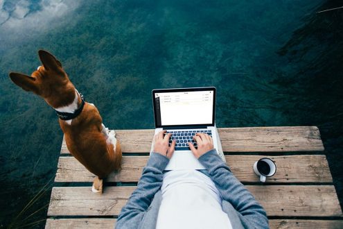 Current Account for a Freelancer: Everything you need to know and useful tips