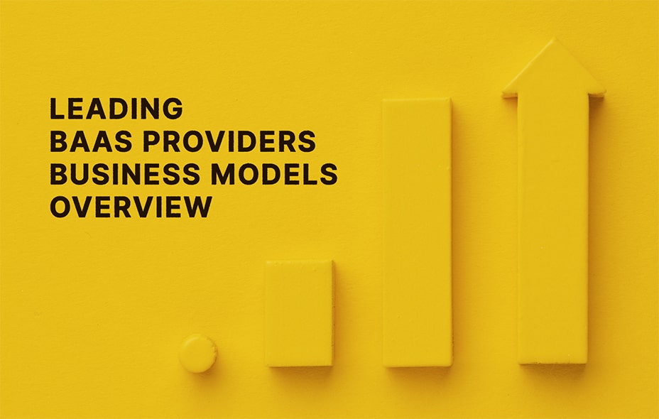 Overview of Business Models of Leading BaaS Providers