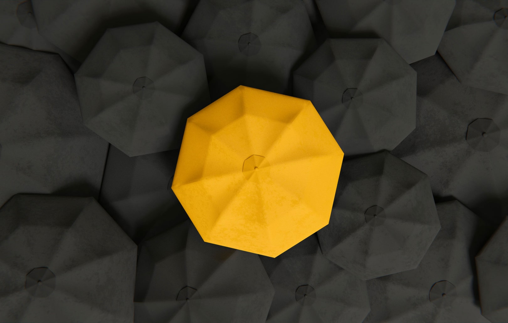 Client Risk Assessment Levels - Satchel