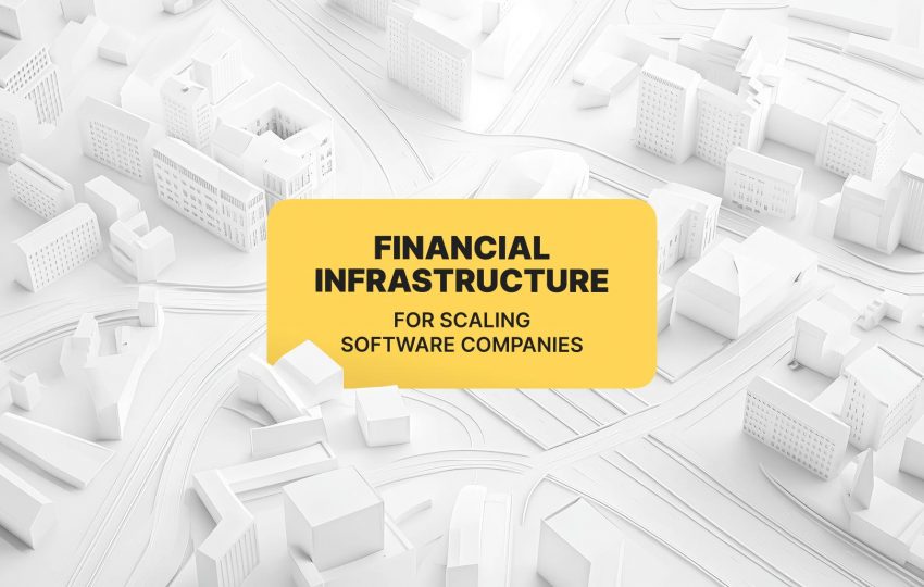 Financial infrastructure for scaling software companies