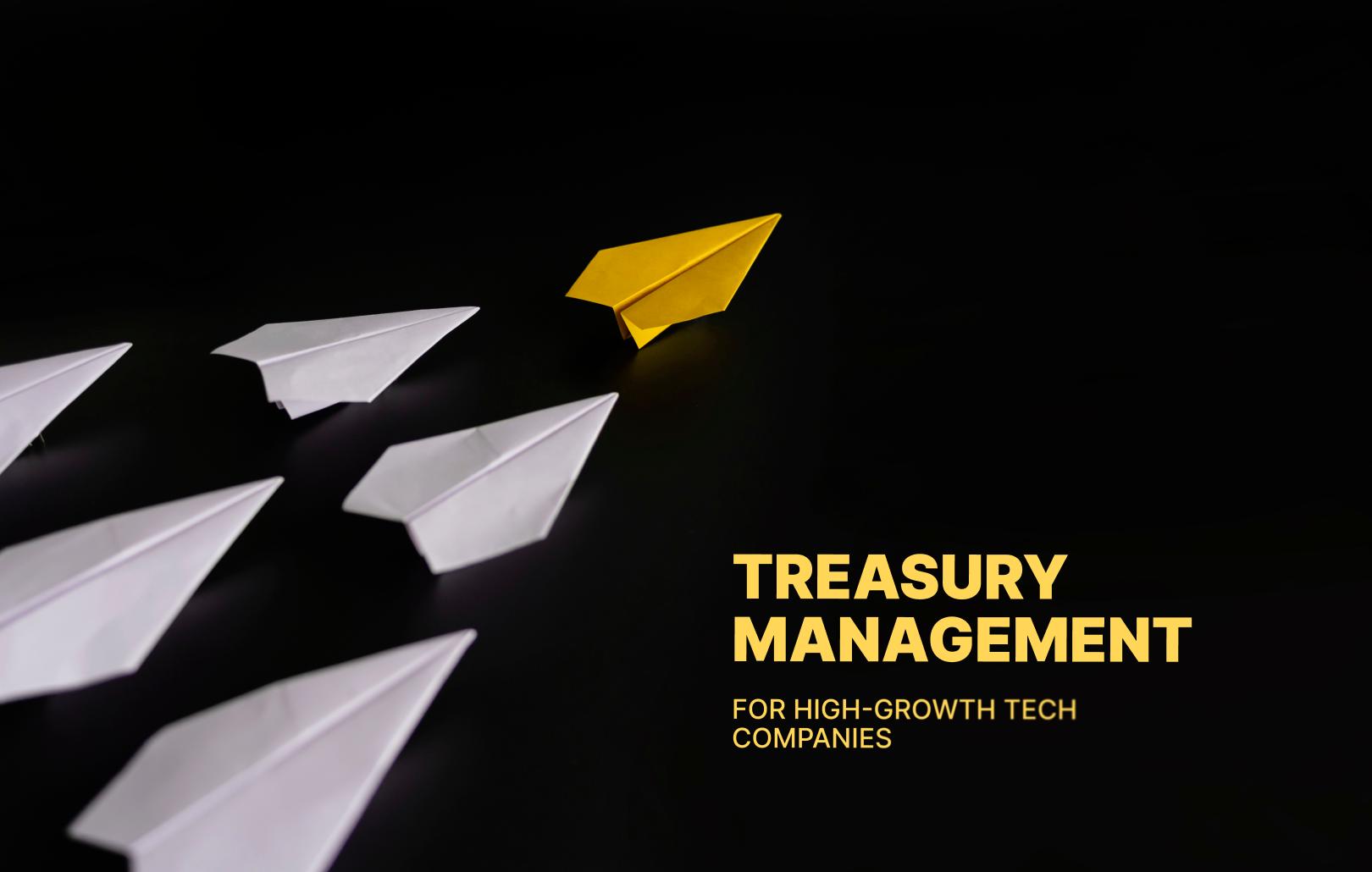 Treasury management for high-growth tech companies